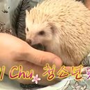 작은 동물원 이미지