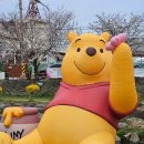 전통나래관 앞 이미지