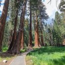 김밥산책 이미지