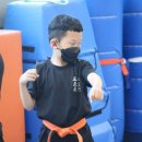 강화 태권도장 이미지