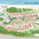 송지호오토캠핑장 | [송지호 오토캠핑장] 가격, 명당, 이용후기 - 고성 해변과 가족 캠핑의 천국