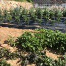 헤이리풀빌라워라밸호스텔 이미지