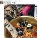 식탐 이미지