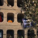 두리베어 이미지