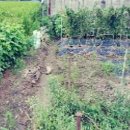 춘포면-14 이미지