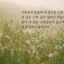 왕의 길- 하나니의 교회 영상 설교 이미지