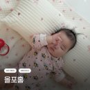 올포 | 아기베개 추천 뒤집기하는 6개월아기 올포홈 자수 뒹굴이 베개 사용후기