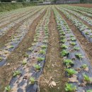 물골경로당 이미지