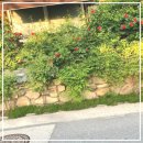 그랑블루 어린이수영장 이미지