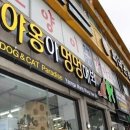 멍멍아 야옹 이미지