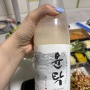 농축된 맛 스파이시함이 매력 운주도가 윤탁 막걸리 내돈내산 후기
