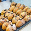 제주호랭이성산점 | 신상 맛집?! 제주호랭이도넛 성산점 먹어본 후기 🐯🍩