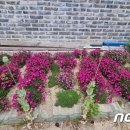 동해-단속-11 이미지