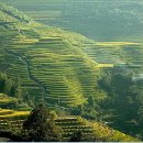 (주)태초 이미지