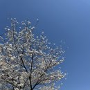 정읍사공원 유아숲체험원 이미지
