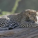 마라천국 이미지