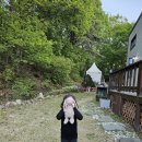 아갤러리