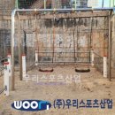 원일스포츠