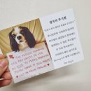 포루시스 네이버블로그