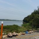 연어의추억 이미지