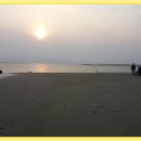 갯벌생태 체험장 이미지