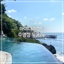 [여행] 발리신행 8박 10일 #29 발리 아야나리조트 수영장 모음