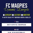 프로마인드의 순수 아마추어 축구팀, 맥파이스FC에서 새로운 도전을 시작하세요! (강북구 K7 참가) 이미지