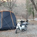 저단60 | 혼다-슈퍼커브 5년 후기 [자동차 공학과의 오토바이 리뷰 ] 유지비,변속방법,캠핑후기