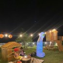 비행기나무 이미지