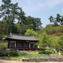 유명한 이미지