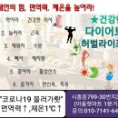 열매점핑허브다이어트 이미지
