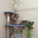 라온캐터리 이미지