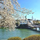 원광대체육관 앞 이미지