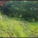 원달보건진료소 이미지