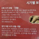 당후길 | 이심이농장 고구마구입 후기 및 고구마 시기별 보관방법
