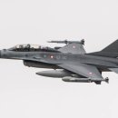 아르헨티나, 덴마크에서 F-16 24기 도입 계약 이미지