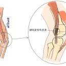 산행족 장경인대 스트리칭 이미지