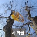 우산 하나, 신발 두 켤레/ 시인 탁 경민 이미지