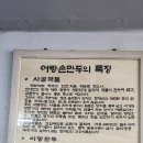 어랑 이미지