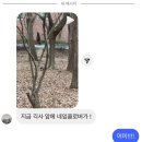 돌아온 3월 블로그 〰️