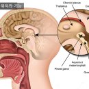 지사미한의원 이미지
