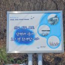 인천공항초교 신도분교 | [인천 영종] 신시모도(신도) | 🌸벚꽃 스팟 피크닉 당일치기 여행 feat. 전동바이크 휠프렌즈 (+할인 꿀팁)