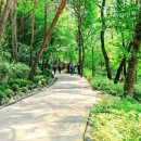 용마도시자연공원 이미지