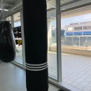 TH복싱짐 이미지