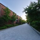 LG 흑우의 G7 실제 만져본 후기