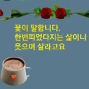 쉬어가는 넌센스퀴즈 이미지