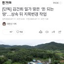 [단독] 김건희 일가 땅은 ‘돈 되는 땅’…상속 뒤 지목변경 작업 이미지