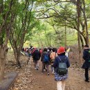 속리산샘물