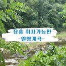 숲속계곡 쉴만한물가 | 인천 근교 장흥 ‘일영계곡’ 취사 가능한 계곡 데크 대여 후기