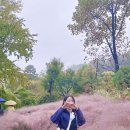 리얼모노 | 비오는 날 화담숲 리얼 후기 / 모노레일